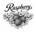 Raspberry Turkish Delights